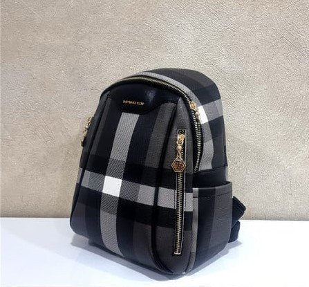 Backpack type bag